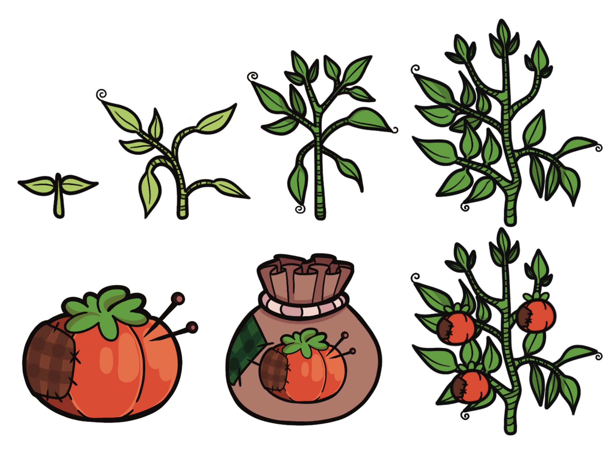 Tomato asset
