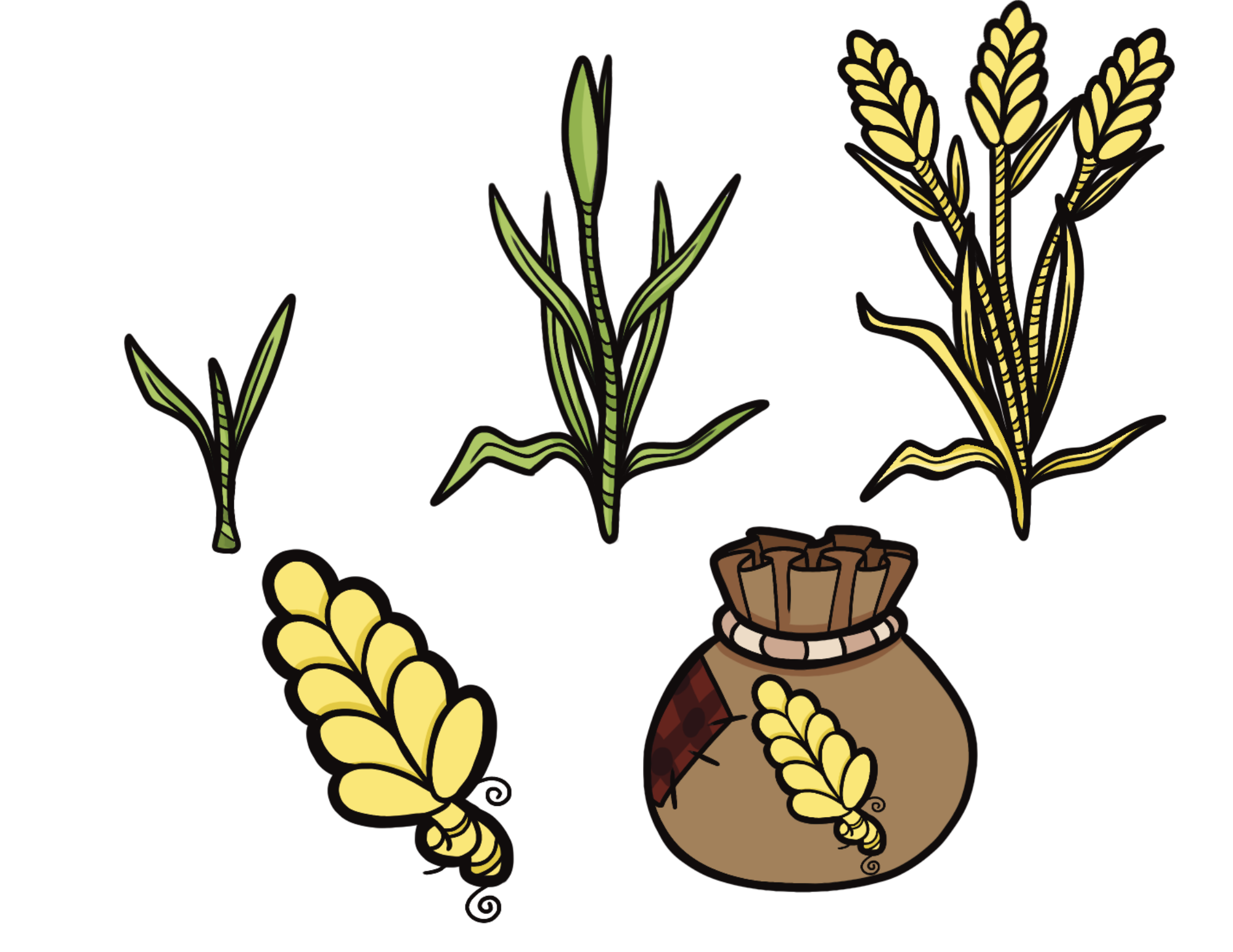 Wheat asset